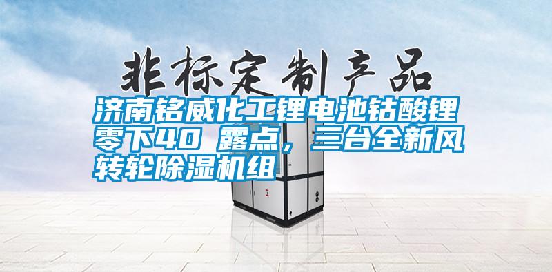 濟南銘威化工鋰電池鈷酸鋰零下40℃露點，三臺全新風轉輪除濕機組