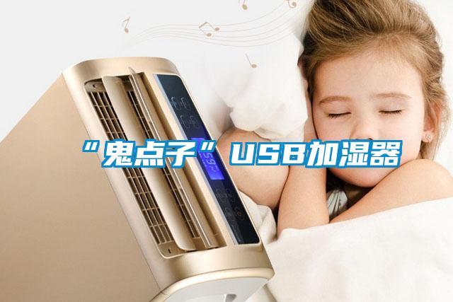 “鬼點子”USB加濕器