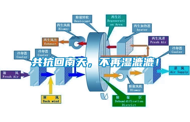 共抗回南天，不再濕漉漉！