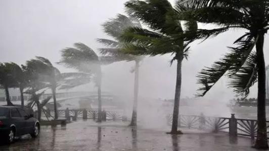 8月臺風(fēng)雨即將來，除濕機還得用起來