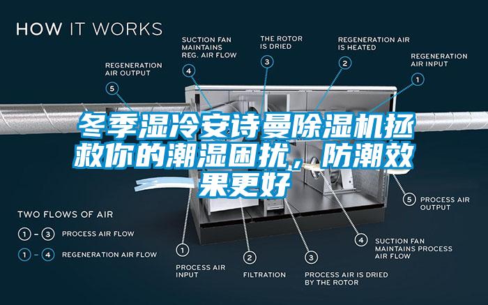 冬季濕冷安詩曼除濕機拯救你的潮濕困擾，防潮效果更好