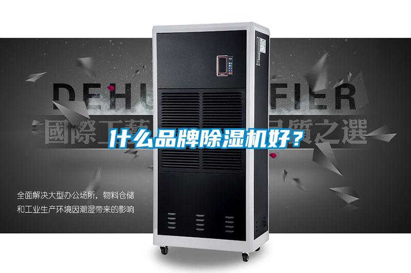 什么品牌除濕機(jī)好？