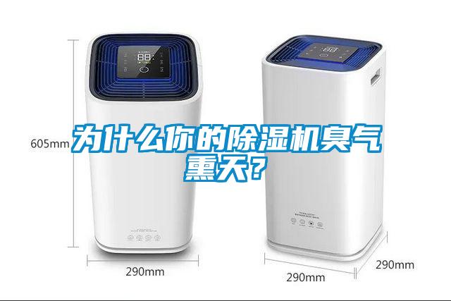 為什么你的除濕機臭氣熏天？