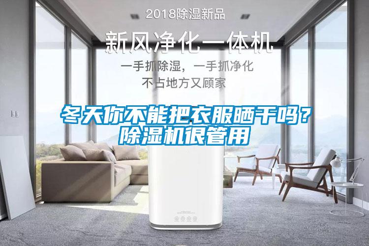 冬天你不能把衣服曬干嗎？除濕機很管用