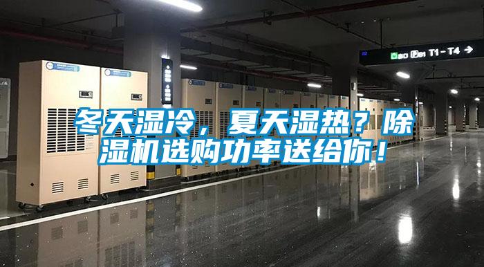 冬天濕冷，夏天濕熱？除濕機選購功率送給你！