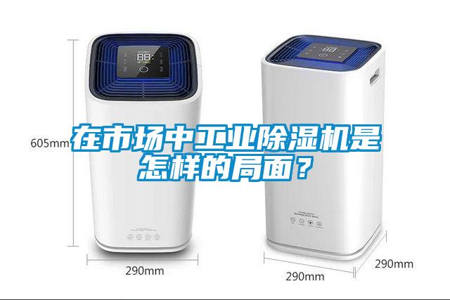 在市場中工業(yè)除濕機是怎樣的局面？