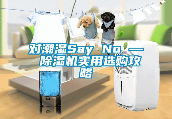 對(duì)潮濕Say No — 除濕機(jī)實(shí)用選購攻略