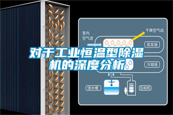 對于工業(yè)恒溫型除濕機的深度分析