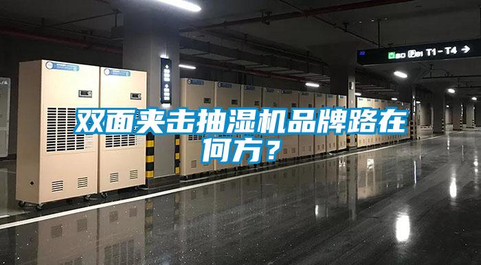 雙面夾擊抽濕機品牌路在何方？