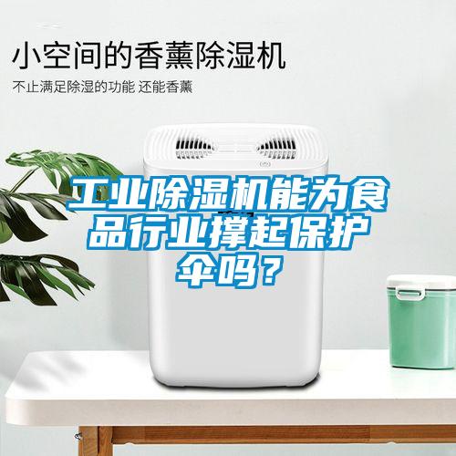 工業(yè)除濕機能為食品行業(yè)撐起保護傘嗎？