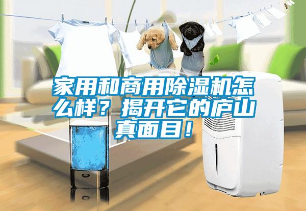 家用和商用除濕機怎么樣？揭開它的廬山真面目！