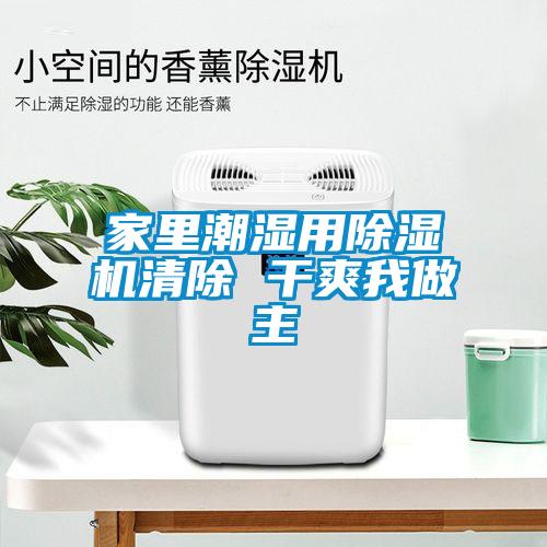 家里潮濕用除濕機清除 干爽我做主