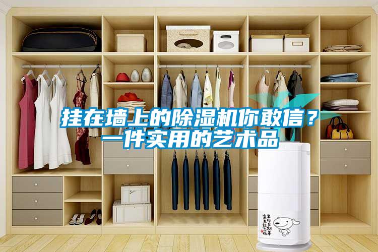 掛在墻上的除濕機你敢信？一件實用的藝術(shù)品