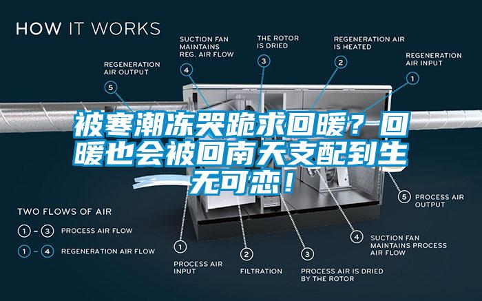 被寒潮凍哭跪求回暖？回暖也會被回南天支配到生無可戀！