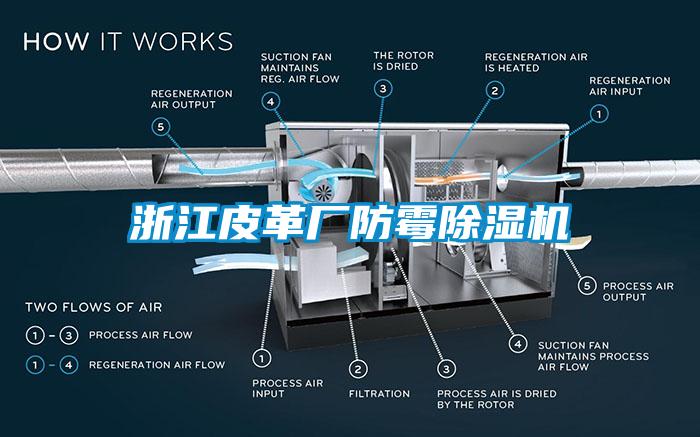 浙江皮革廠防霉除濕機