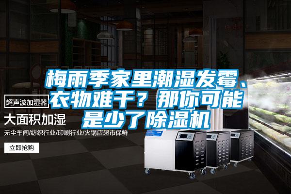 梅雨季家里潮濕發(fā)霉、衣物難干？那你可能是少了除濕機