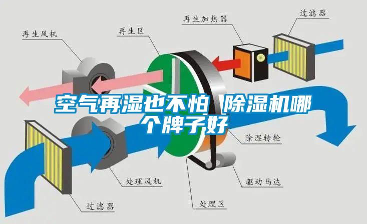 空氣再濕也不怕 除濕機(jī)哪個(gè)牌子好