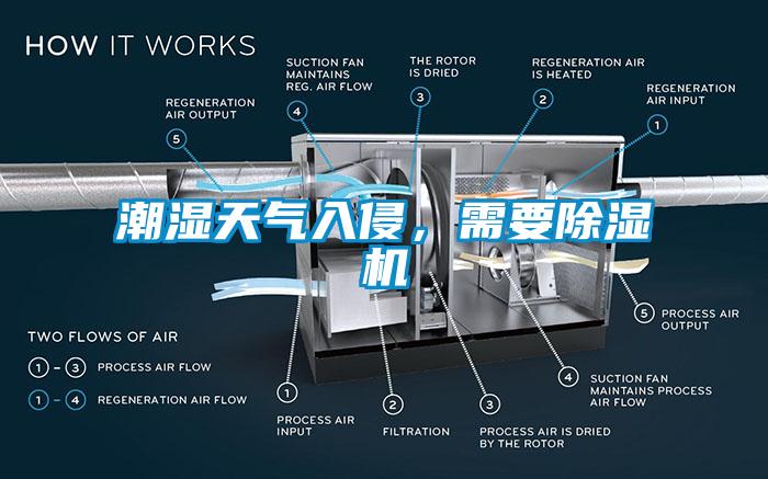 潮濕天氣入侵，需要除濕機(jī)