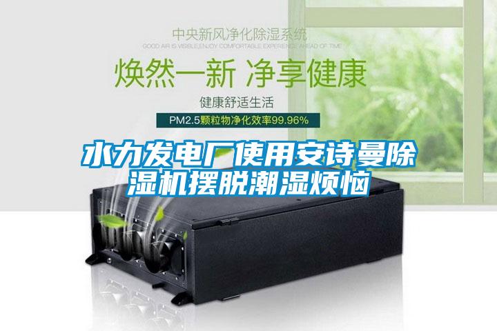 水力發(fā)電廠使用安詩(shī)曼除濕機(jī)擺脫潮濕煩惱