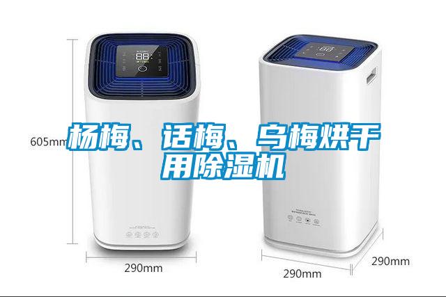 楊梅、話梅、烏梅烘干用除濕機