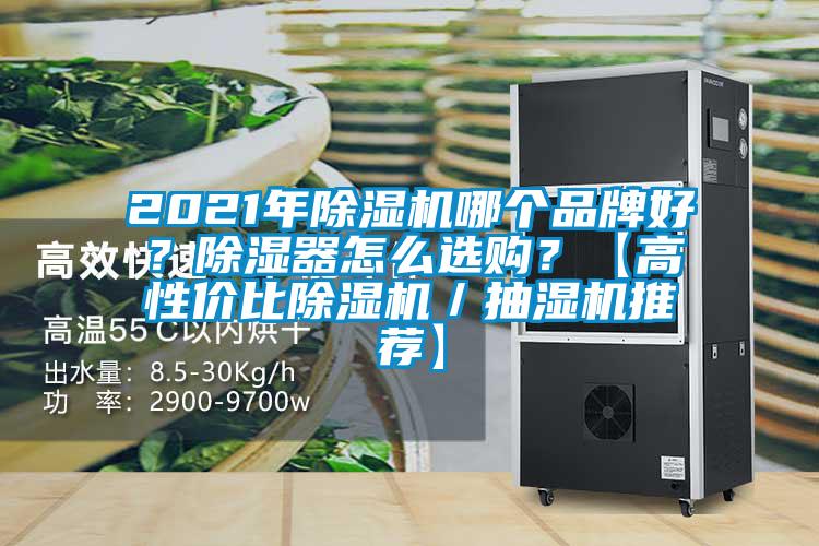 2021年除濕機哪個品牌好？除濕器怎么選購？【高性價比除濕機／抽濕機推薦】