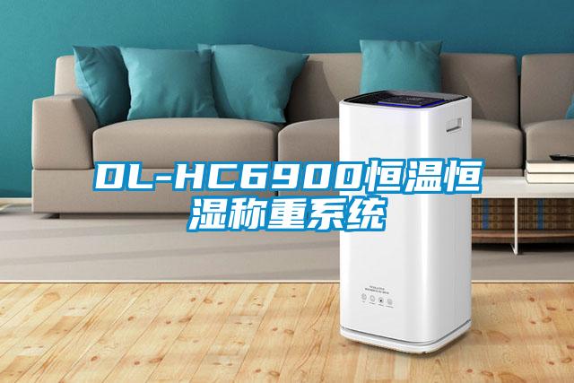 DL-HC6900恒溫恒濕稱重系統(tǒng)