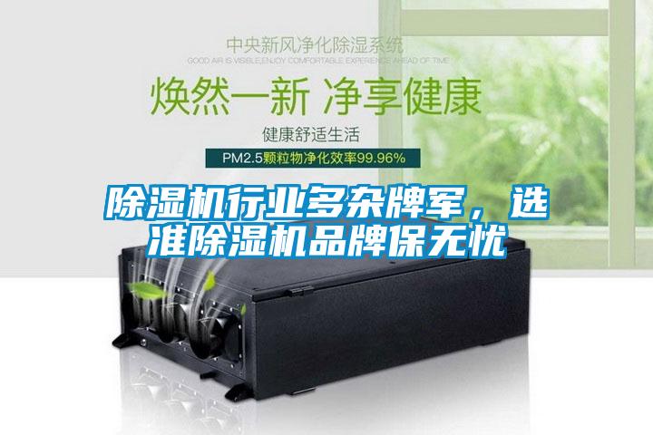 除濕機行業(yè)多雜牌軍，選準(zhǔn)除濕機品牌保無憂