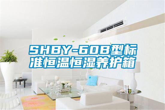 SHBY-60B型標準恒溫恒濕養(yǎng)護箱