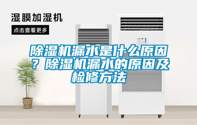 除濕機漏水是什么原因？除濕機漏水的原因及檢修方法