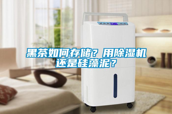 黑茶如何存儲？用除濕機還是硅藻泥？