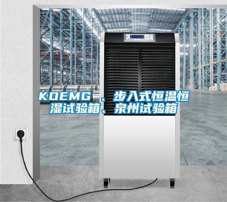 KOEMG 、步入式恒溫恒濕試驗箱、泉州試驗箱