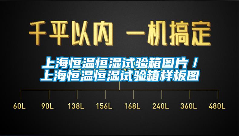 上海恒溫恒濕試驗(yàn)箱圖片／上海恒溫恒濕試驗(yàn)箱樣板圖