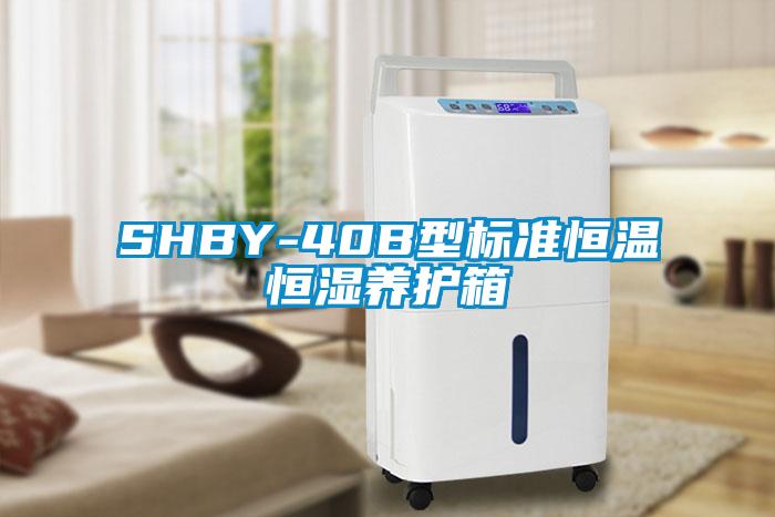 SHBY-40B型標(biāo)準(zhǔn)恒溫恒濕養(yǎng)護(hù)箱