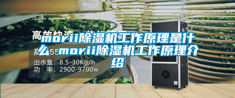 morii除濕機工作原理是什么 morii除濕機工作原理介紹