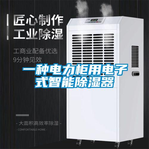 一種電力柜用電子式智能除濕器