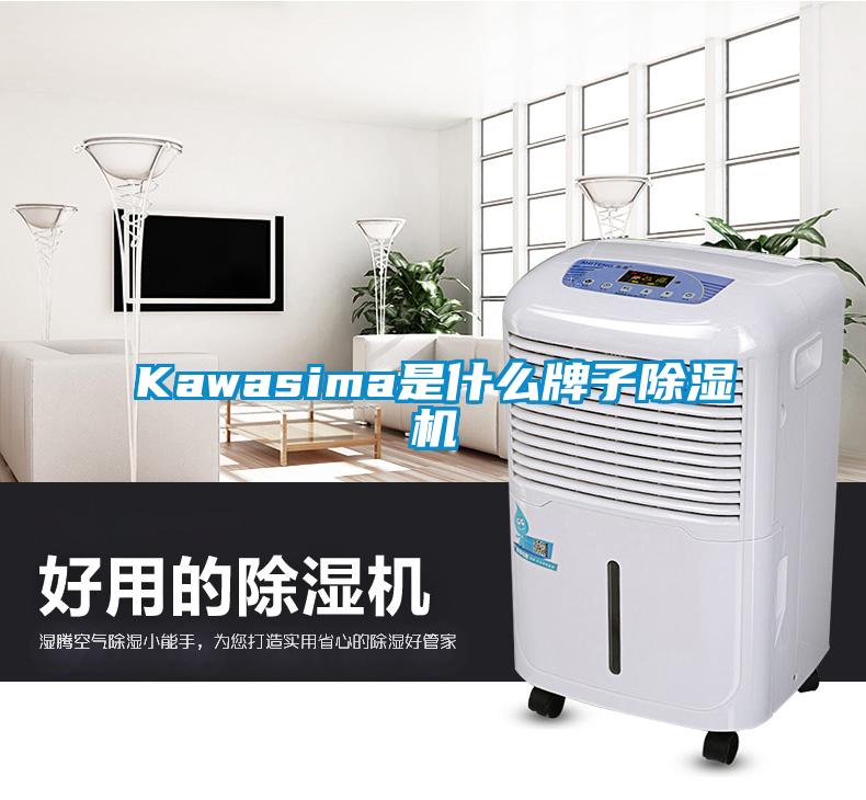 Kawasima是什么牌子除濕機