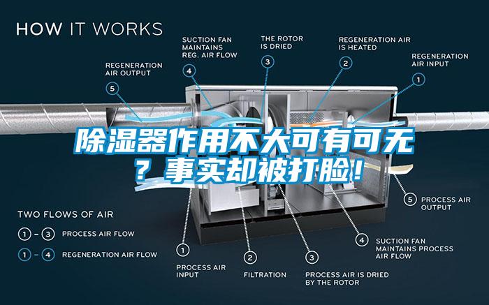 除濕器作用不大可有可無？事實(shí)卻被打臉！