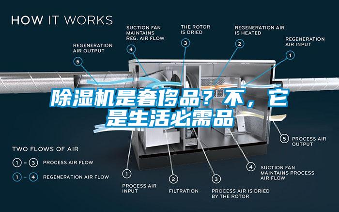 除濕機是奢侈品？不，它是生活必需品