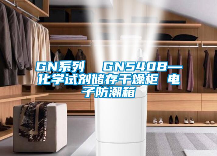 GN系列  GN540B—化學(xué)試劑儲(chǔ)存干燥柜 電子防潮箱