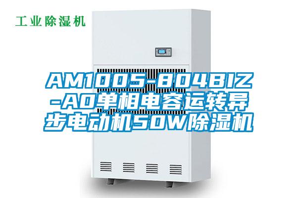 AM1005-804BIZ-A0單相電容運(yùn)轉(zhuǎn)異步電動(dòng)機(jī)50W除濕機(jī)