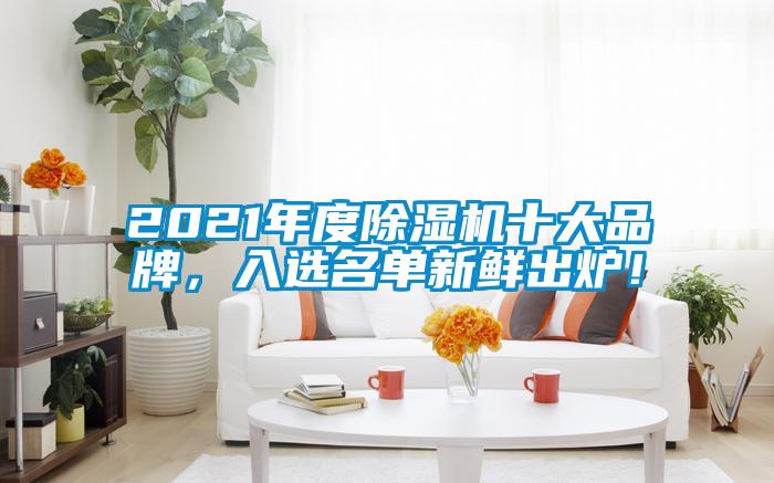 2021年度除濕機十大品牌，入選名單新鮮出爐！