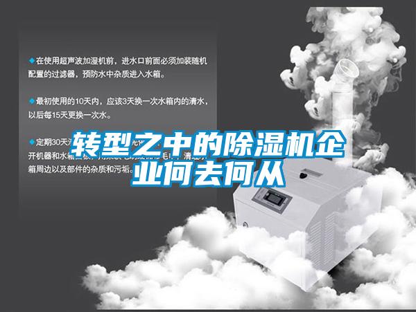 轉(zhuǎn)型之中的除濕機企業(yè)何去何從