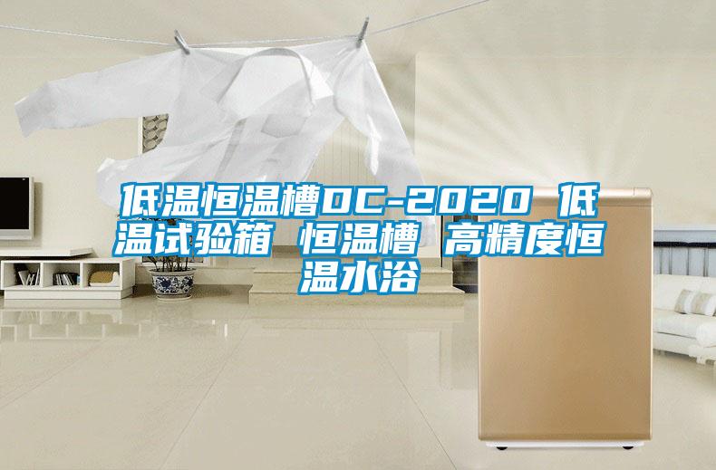 低溫恒溫槽DC-2020 低溫試驗(yàn)箱 恒溫槽 高精度恒溫水浴