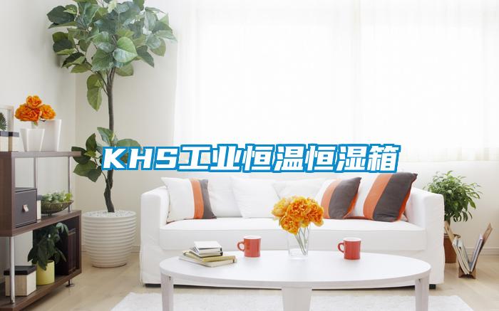 KHS工業(yè)恒溫恒濕箱