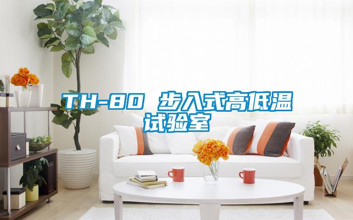 TH-80 步入式高低溫試驗室