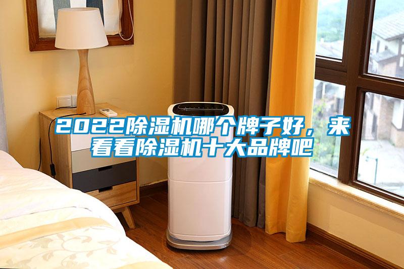 2022除濕機(jī)哪個(gè)牌子好，來看看除濕機(jī)十大品牌吧