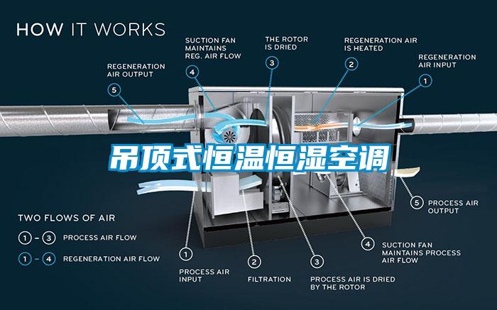 吊頂式恒溫恒濕空調(diào)