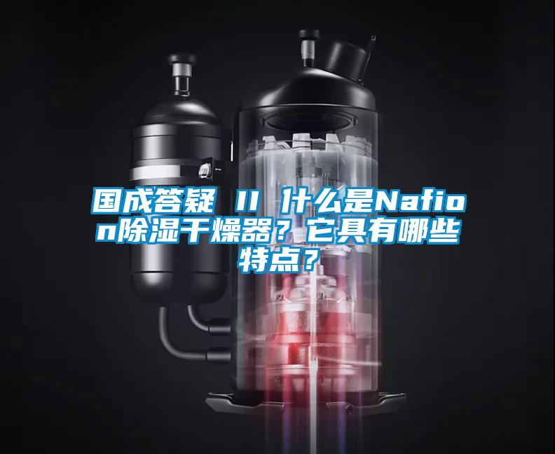 國(guó)成答疑 II 什么是Nafion除濕干燥器？它具有哪些特點(diǎn)？