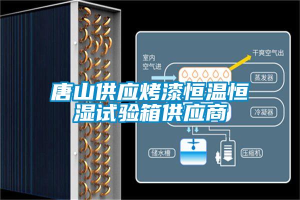 唐山供應(yīng)烤漆恒溫恒濕試驗箱供應(yīng)商