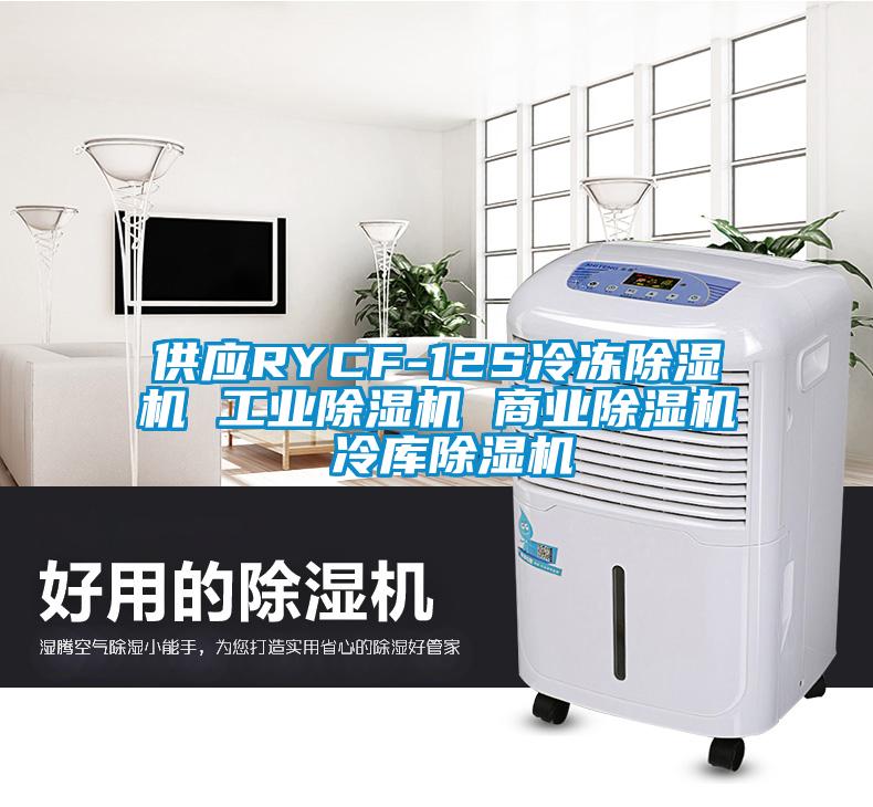 供應(yīng)RYCF-12S冷凍除濕機 工業(yè)除濕機 商業(yè)除濕機 冷庫除濕機